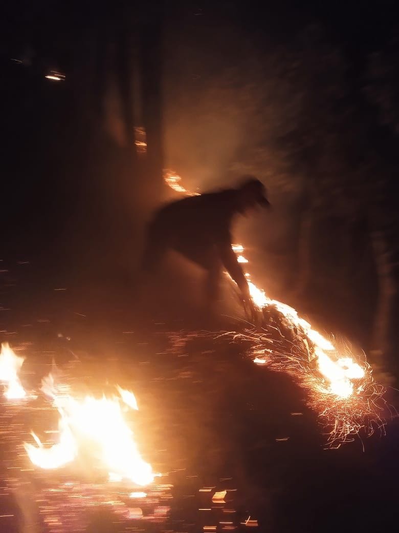 Forest Fire in Lohaghat
