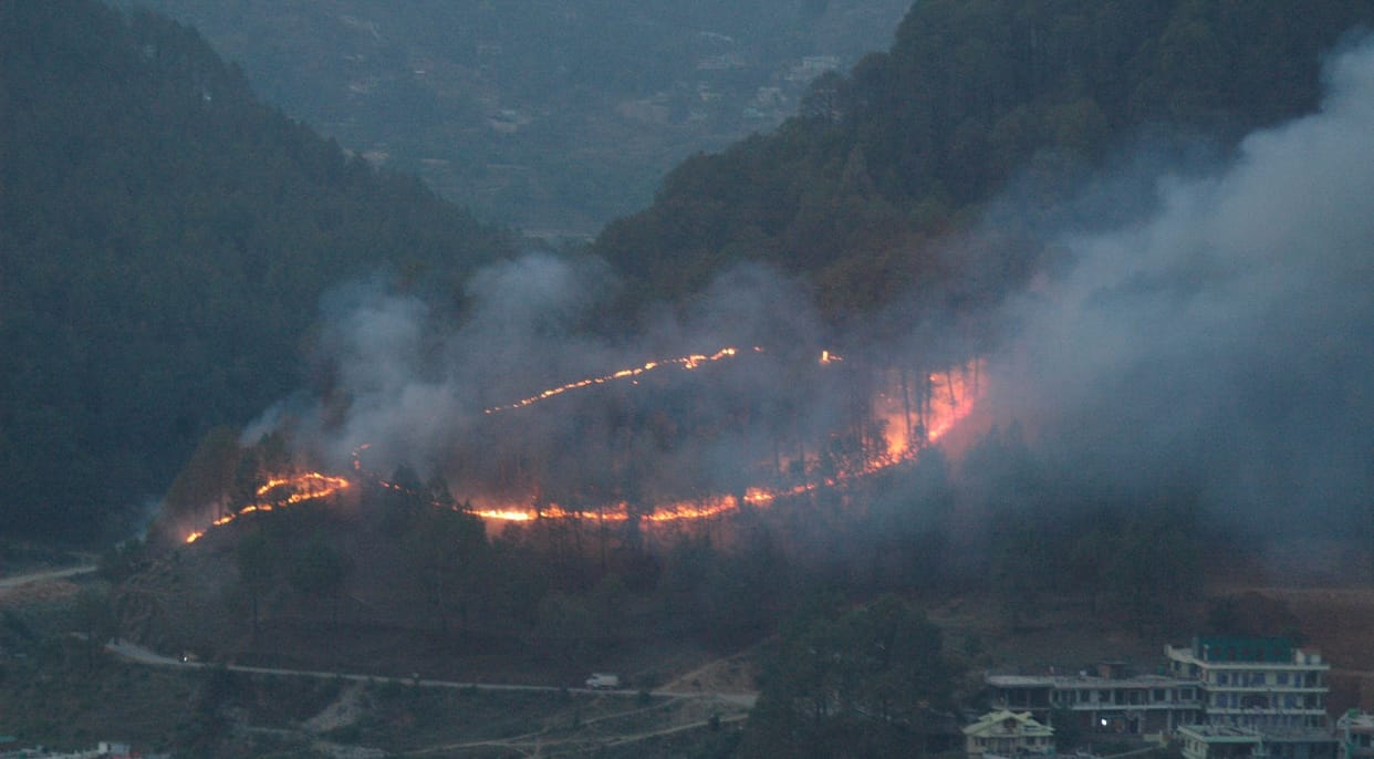 Forest Fire in Pithauragarh