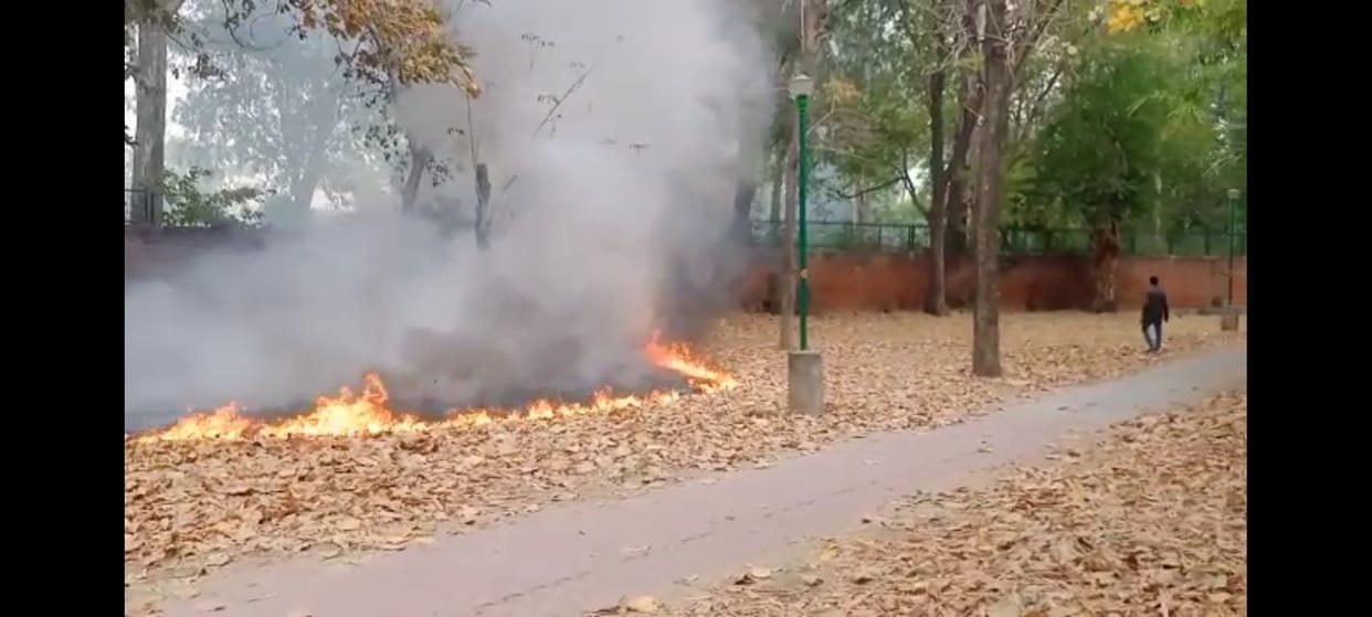 Attention If the fire in the leaves is not good for the employees, action will be taken