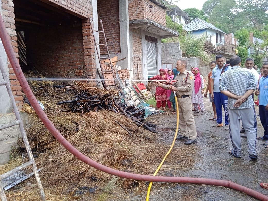 Well, gooseberry and pine trees burnt due to fire, cowshed ashes in Siswan