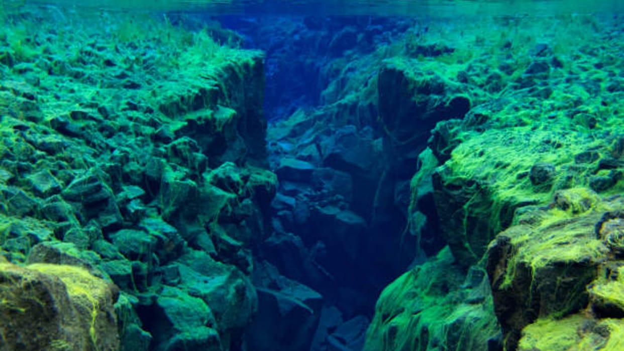 Research: Indian tectonic plate is breaking into two parts Himalaya Earthquake Updates