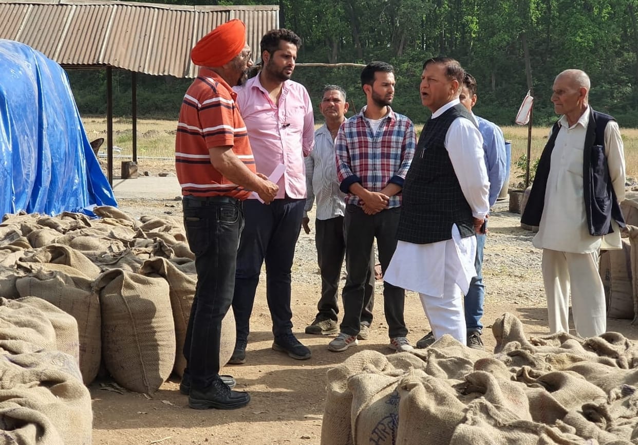mla nahan dr rajeev bindal came to anaj mandi dhaulakunwa and chek all  system