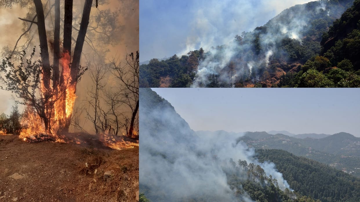 forest fire in tara devi forest shimla himachal pradesh