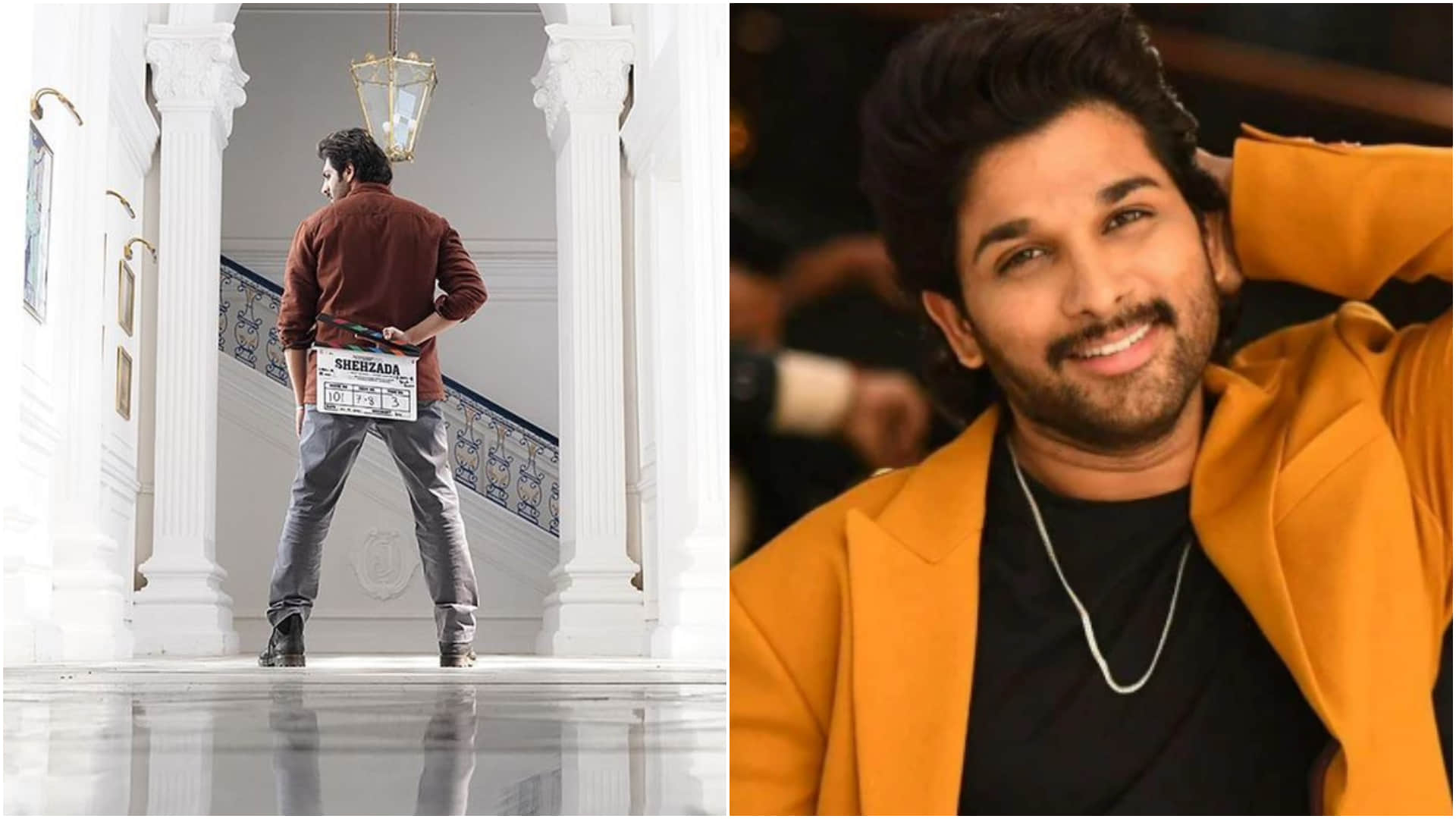 After Shahid Kapoor Jersey These South Movies Remake Will Come selfie shehzada