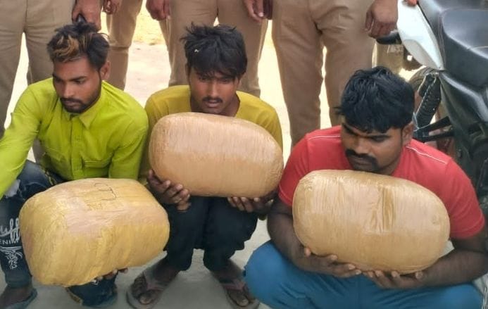 ganja smmugler arrested