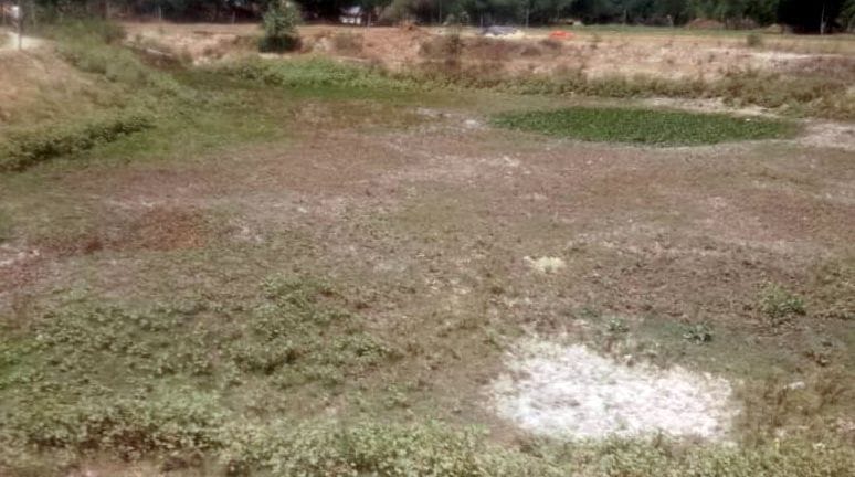 no water in ponds