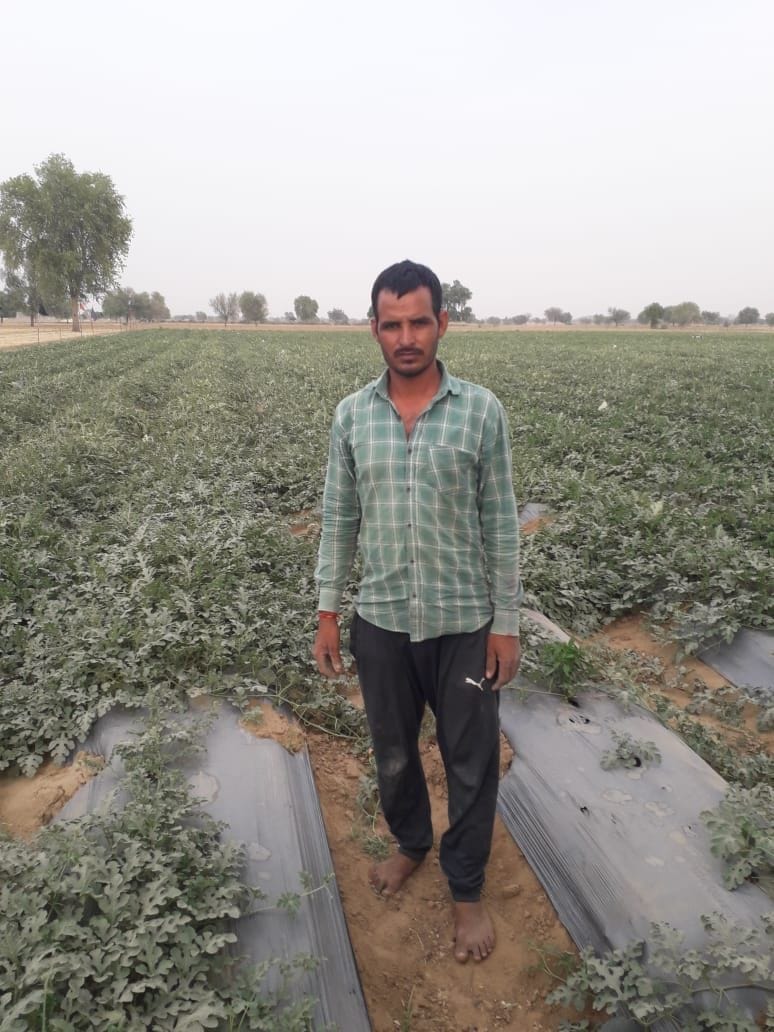 First planted green chillies in one canal, now growing vegetables in 10 acres, earning Rs 12 lakh annually