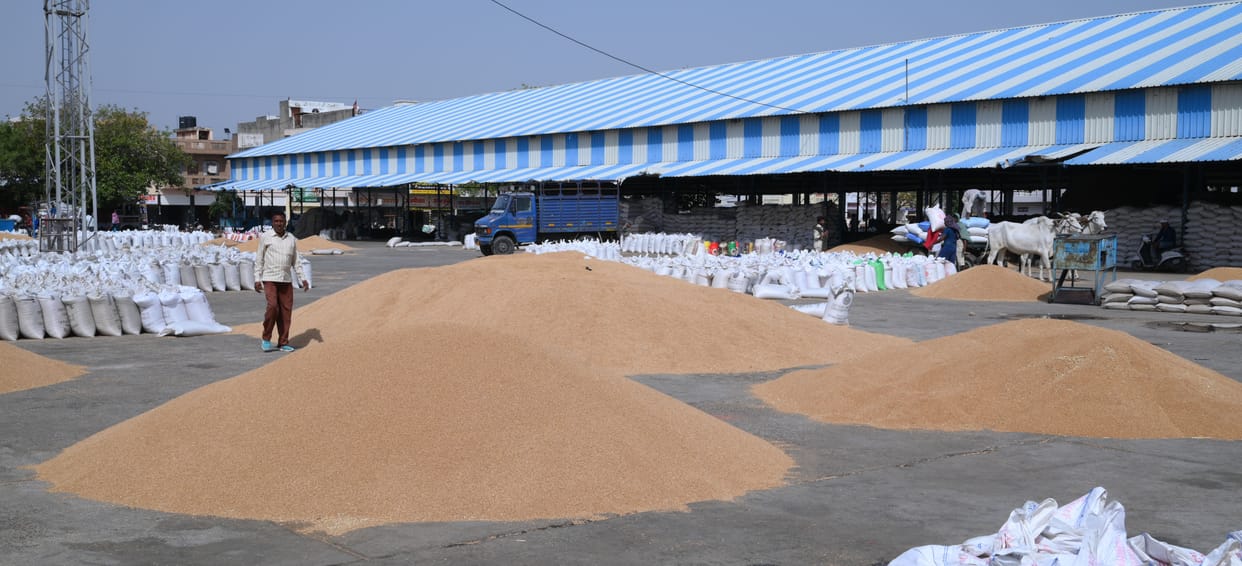 Situation: 20 percent wheat in government account, account not opened in many mandis