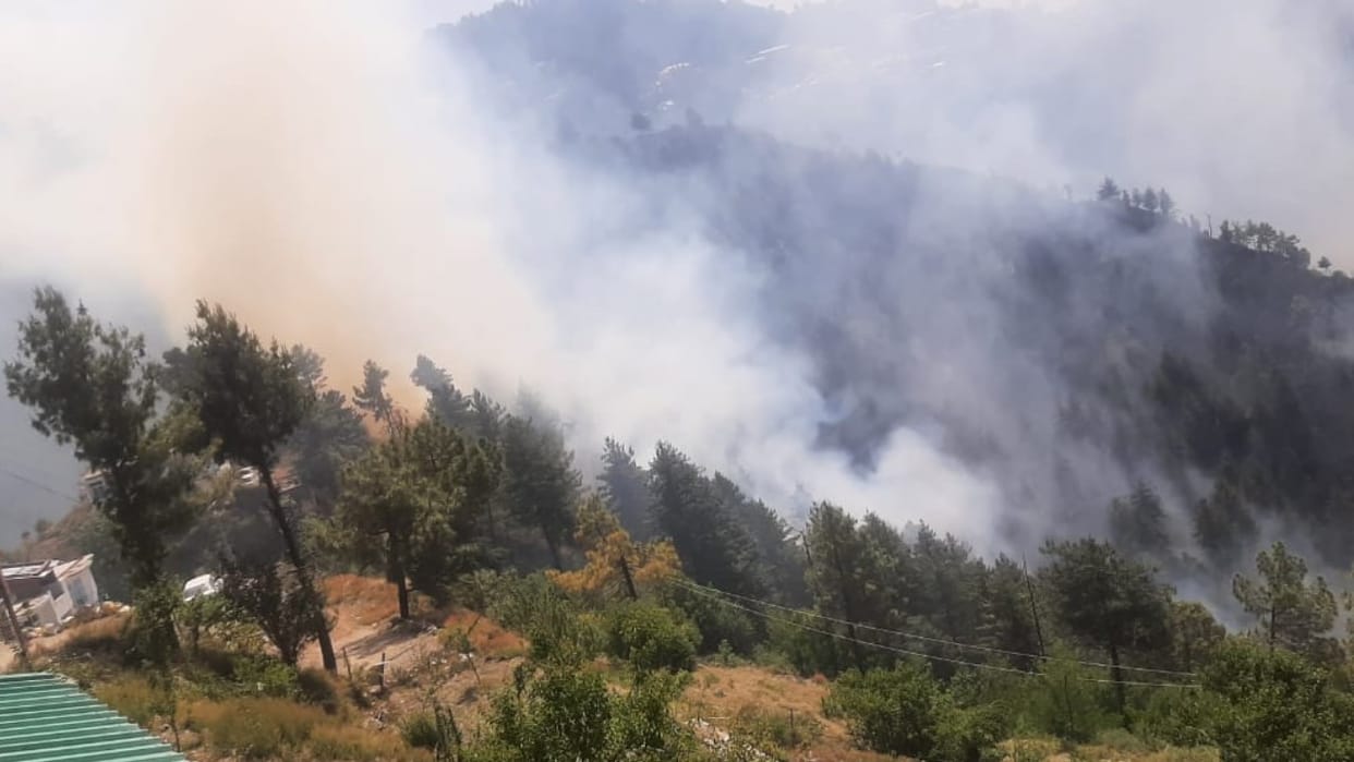 fire breaks out in forests in shimla himachal pradesh