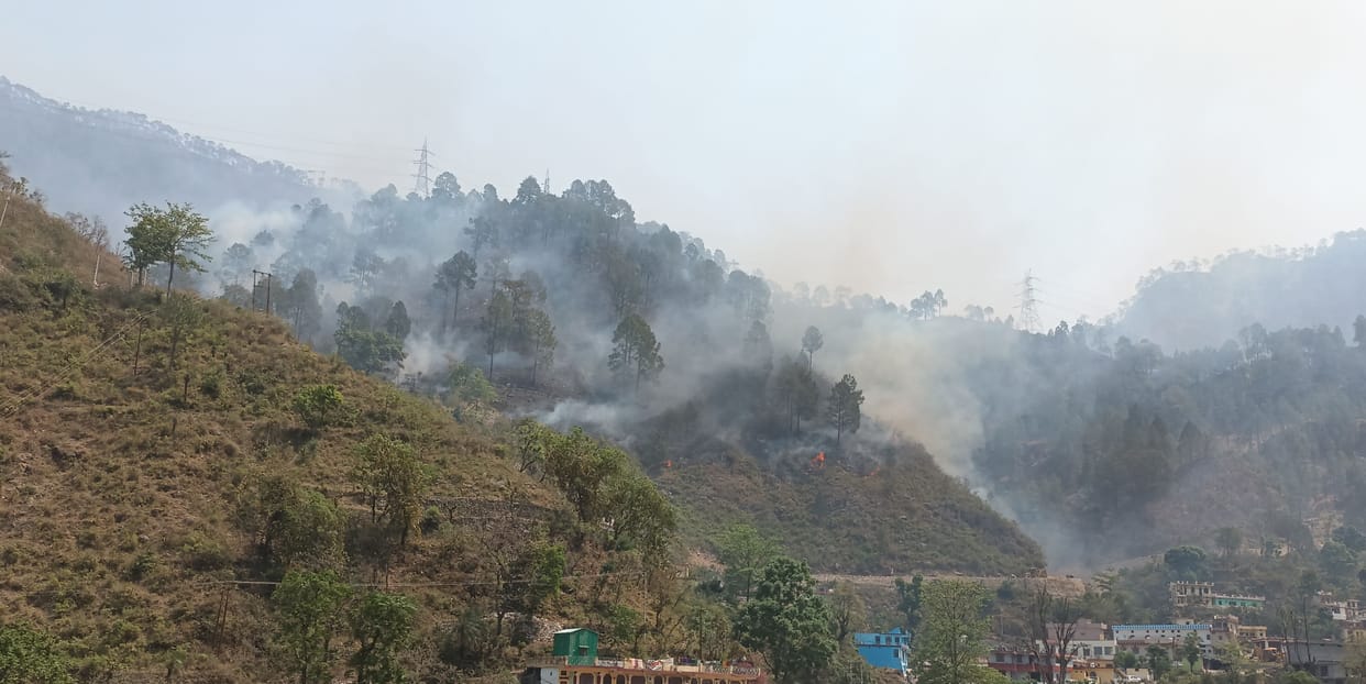Forest fire broke out from Rudraprayag Nagar