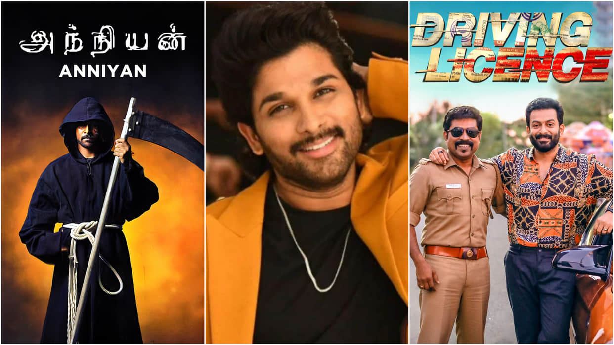 After Shahid Kapoor Jersey These South Movies Remake Will Come selfie shehzada