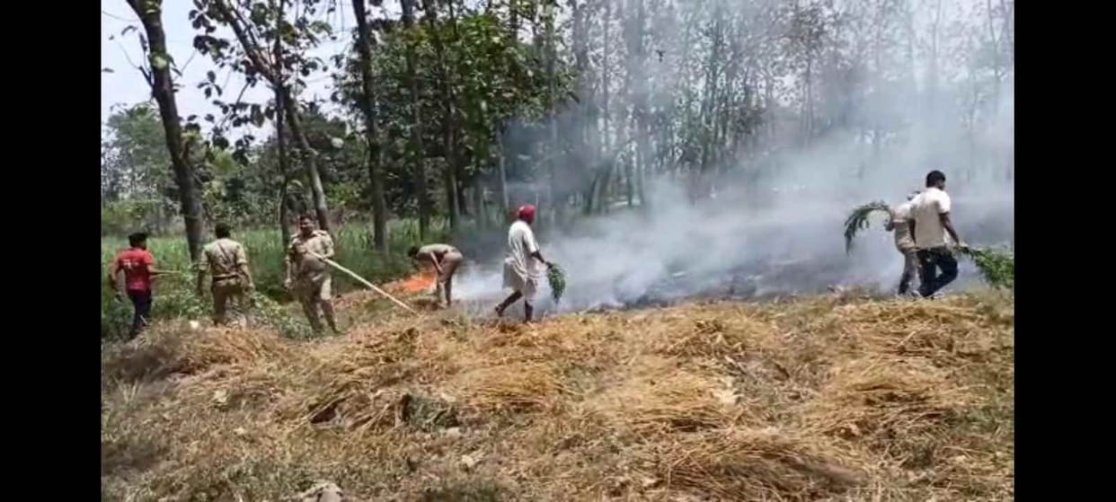 gehoon ke khet mein lagee aag