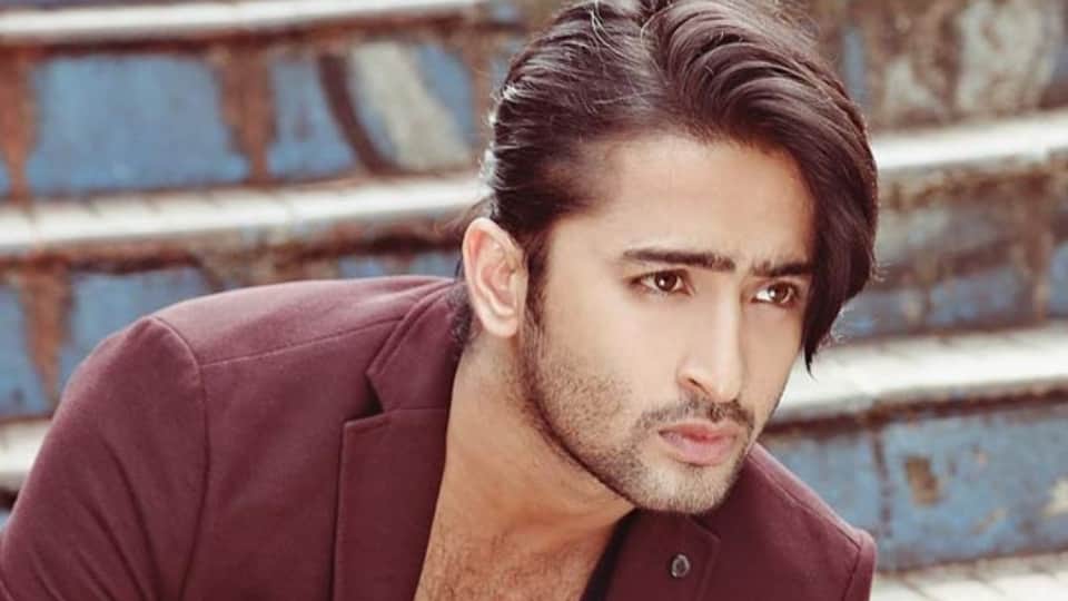shaheer sheikh to dipika kakar TV Stars Who Refused the Film Offer Know Details In Hindi