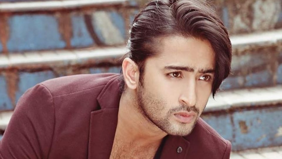 shaheer sheikh to dipika kakar TV Stars Who Refused the Film Offer Know Details In Hindi