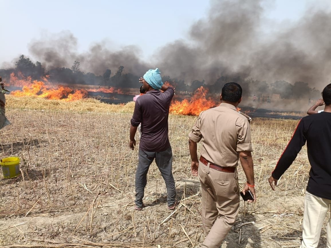 Crop damage in fire