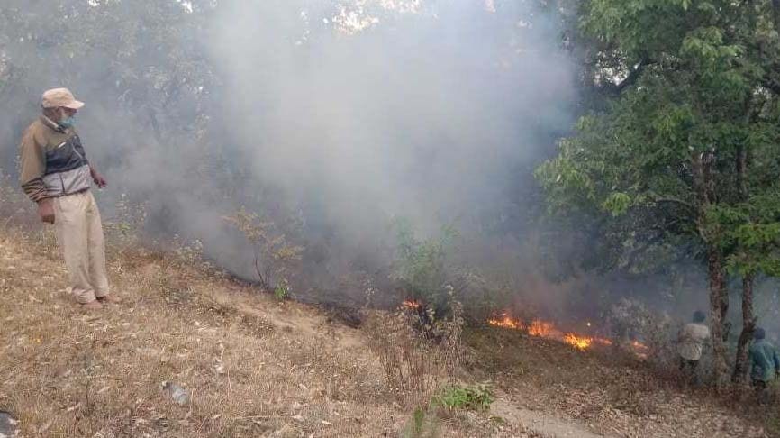 Forest Fire in Champawat