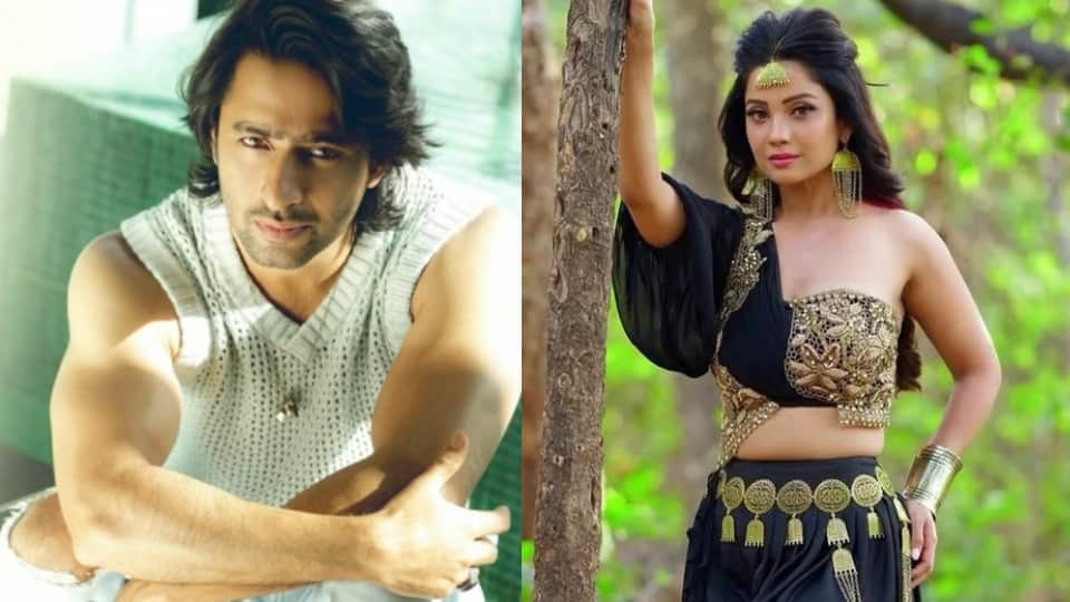 shaheer sheikh to dipika kakar TV Stars Who Refused the Film Offer Know Details In Hindi