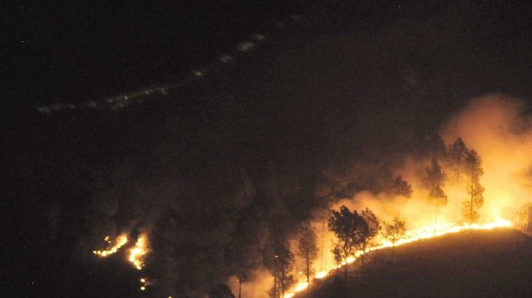 जंगल में आग के आंकड़े छुपा रहा है प्रदेश वन विभाग