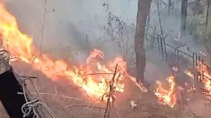 Uttarakhand News: सर्दी में कम बरसे मेघ, बढ़ सकती हैं इस बार वनाग्नि की घटनाएं, वनाग्नि सत्र-2023 शुरू प्रतीकात्मक तस्वीर