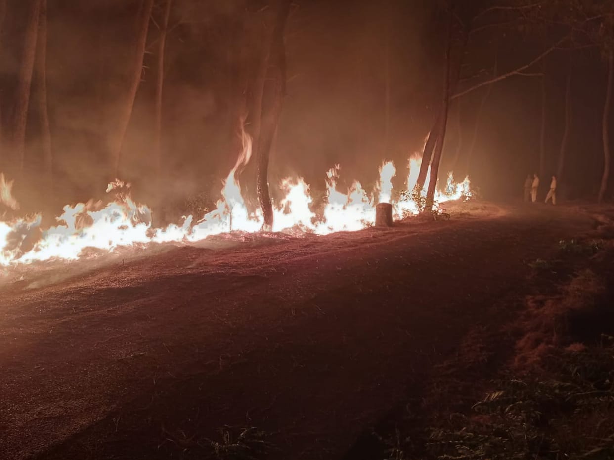 jungle burnt in suhi ambh una himachal and fire brigade try to control  fire