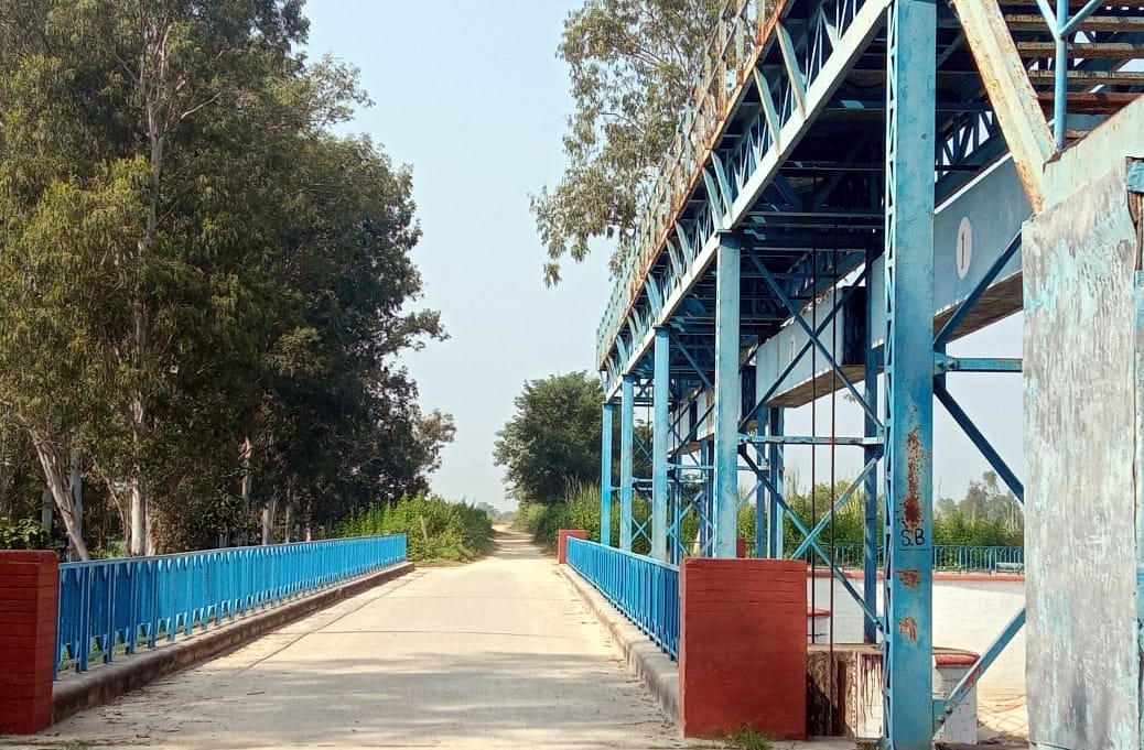 Illegal encroachment on thousands of bighas of land of Yellow Dam