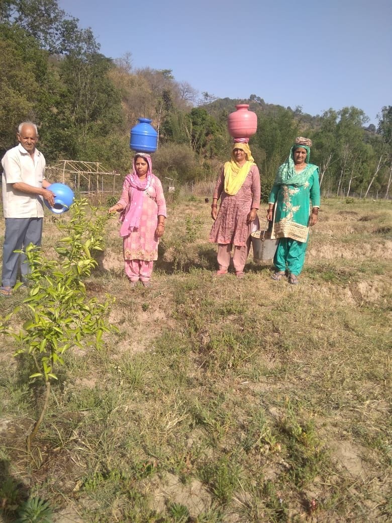 Cluster gardens have been installed but irrigation facilities are not available