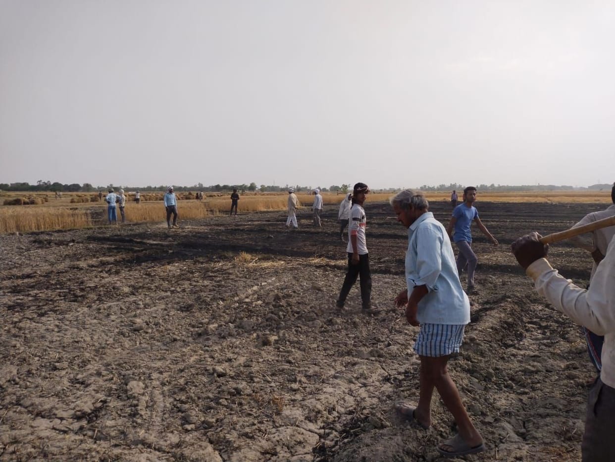 auraiya news,Seven bighas of wheat crop burnt due to fire
