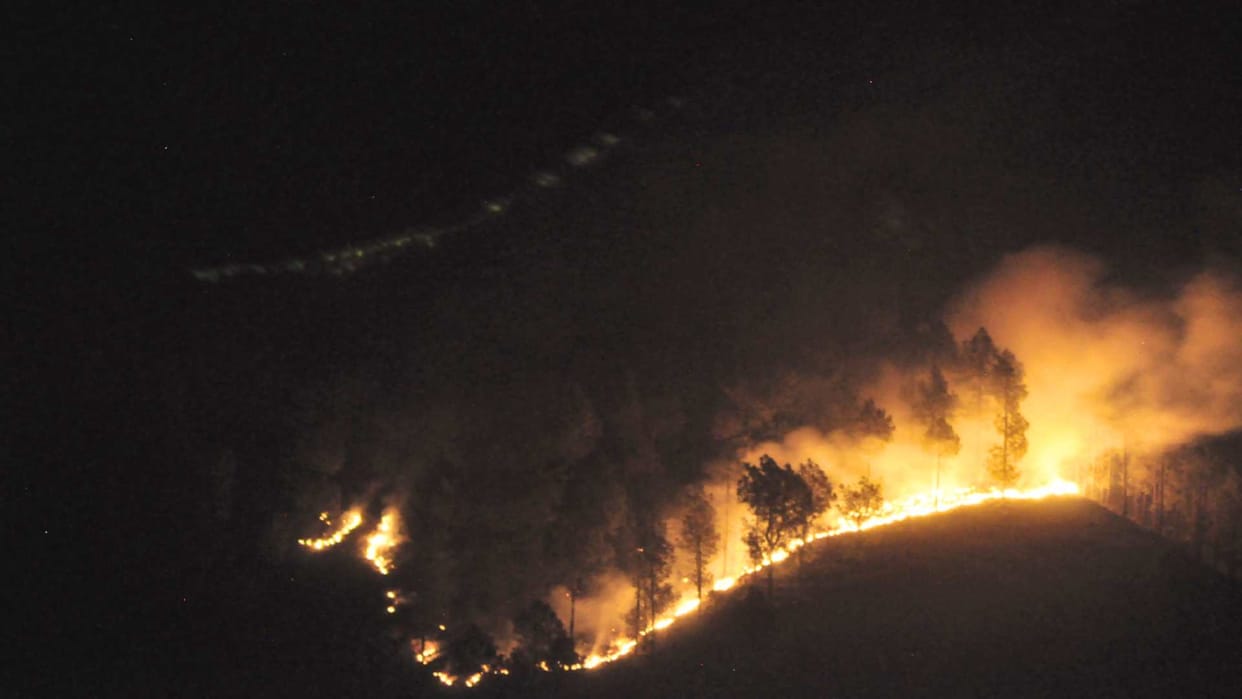 26 dead as forest fires spread in north Algeria
