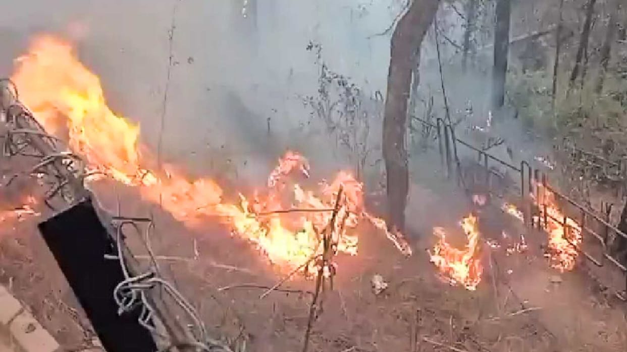forest fires in Uttarakhand and traditional system of extinguishing by forest panchayats