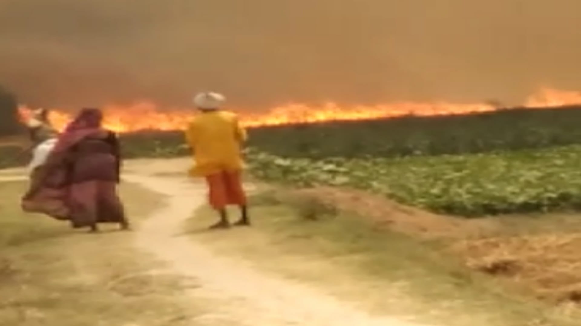 Fire broke out on farmers crop in Gorakhpur
