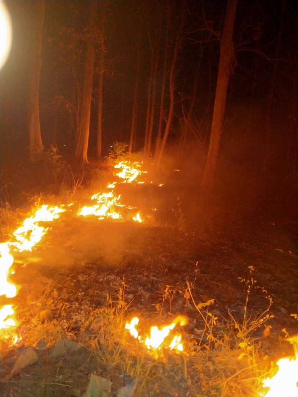 Fire in Hiranagar Forest Compound