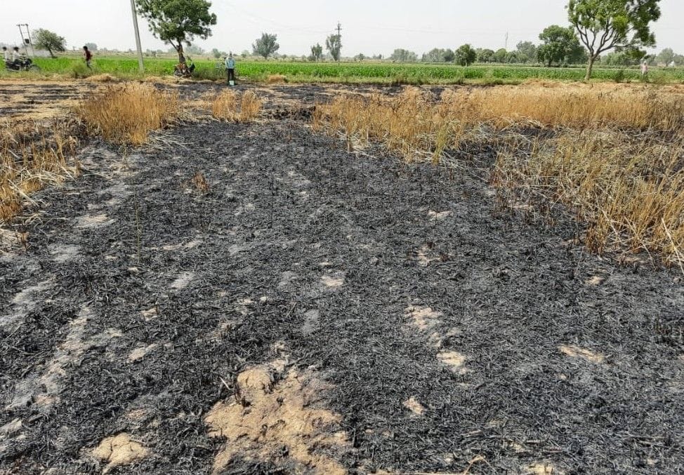 Hathras: Fire caused by spark of HT line, wheat crop ashes