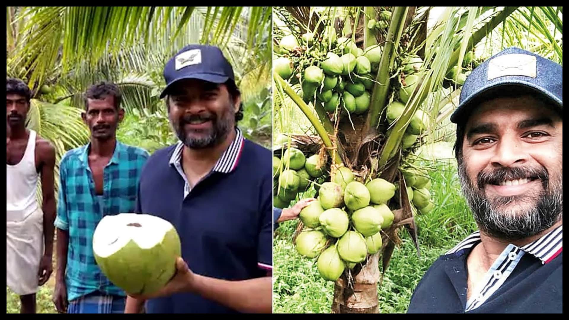 know about Those Bollywood Stars who Have Interest in Gardening Along with Acting like Kangana Ranaut Shipa Shetty R Madhavan