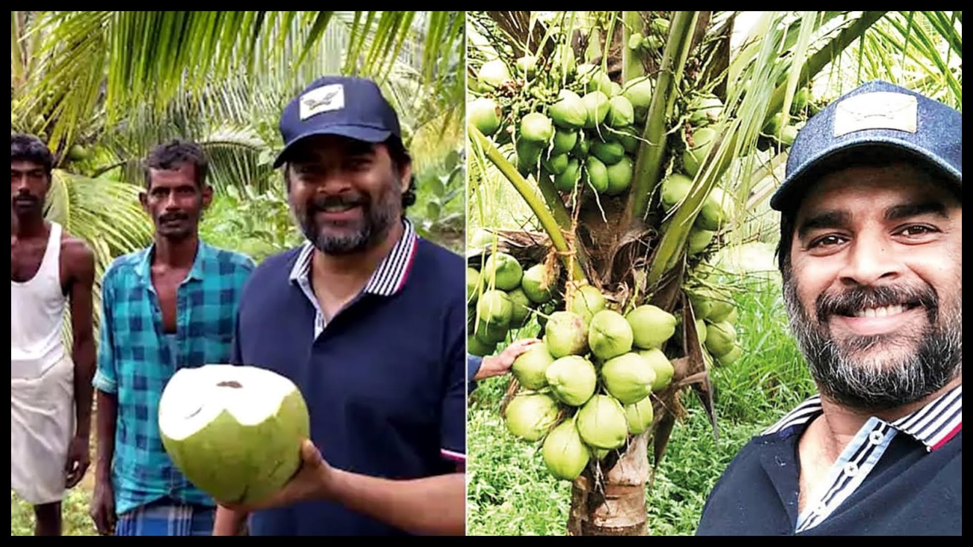 know about Those Bollywood Stars who Have Interest in Gardening Along with Acting like Kangana Ranaut Shipa Shetty R Madhavan