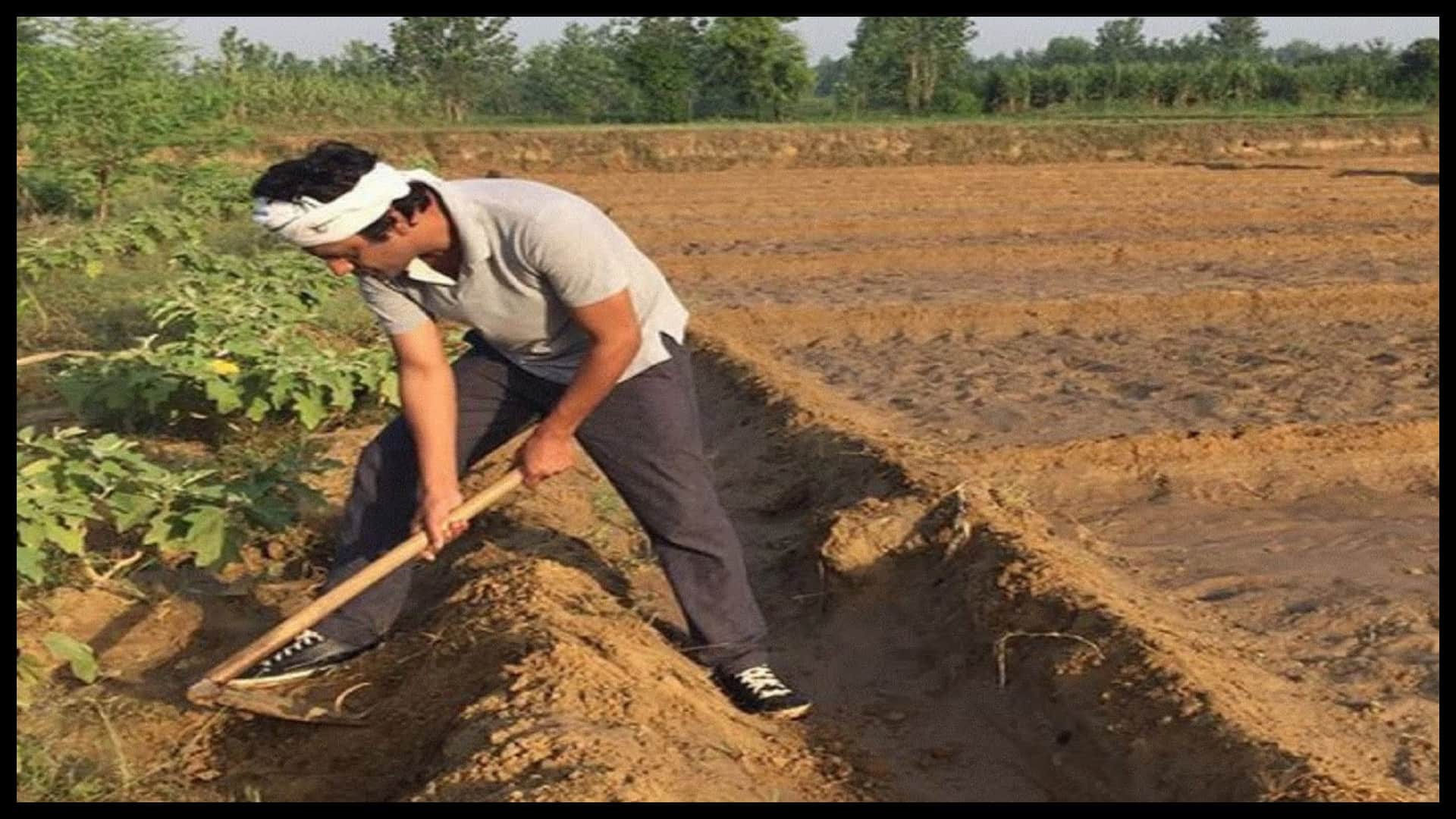 know about Those Bollywood Stars who Have Interest in Gardening Along with Acting like Kangana Ranaut Shipa Shetty R Madhavan