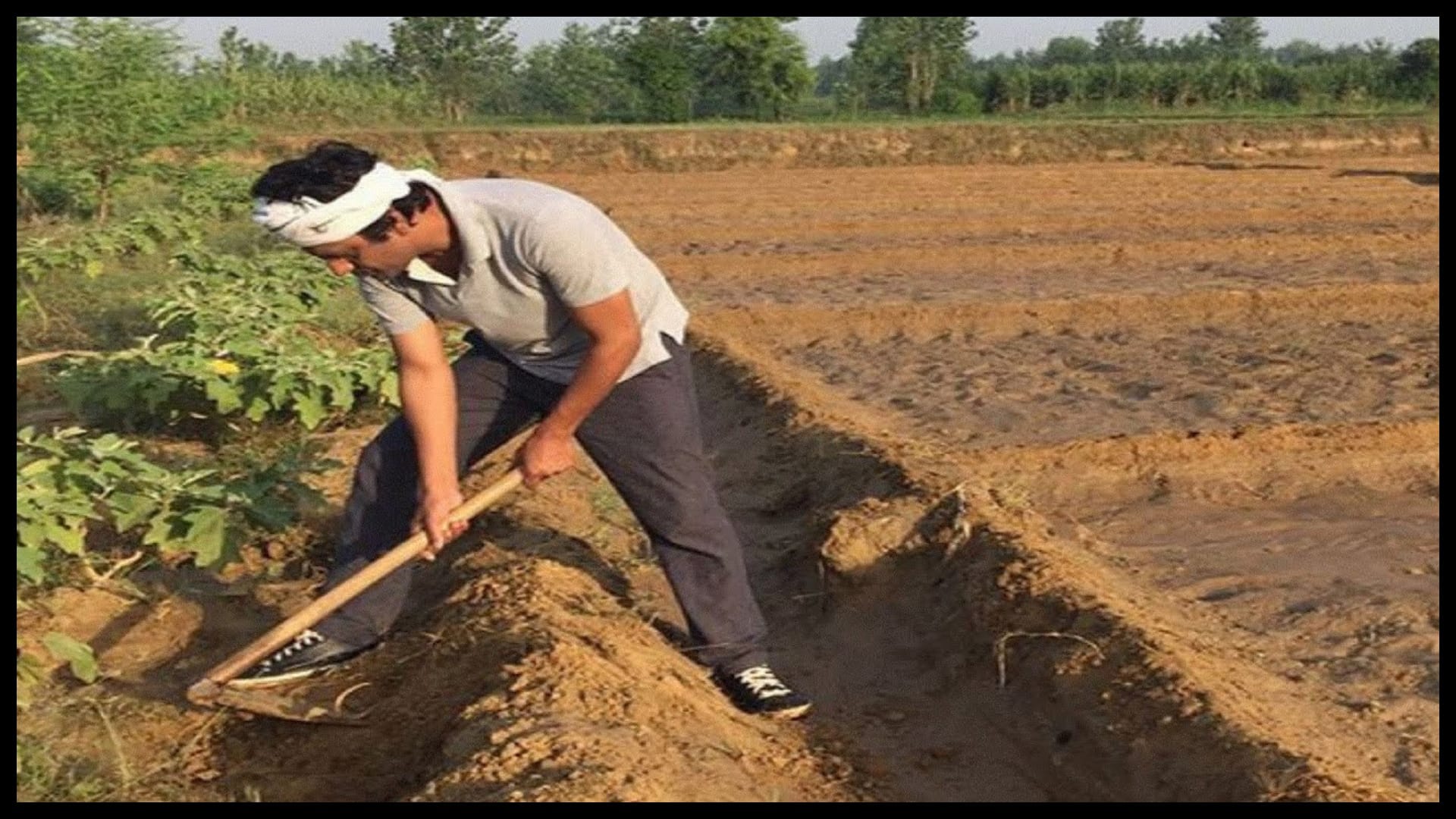 know about Those Bollywood Stars who Have Interest in Gardening Along with Acting like Kangana Ranaut Shipa Shetty R Madhavan