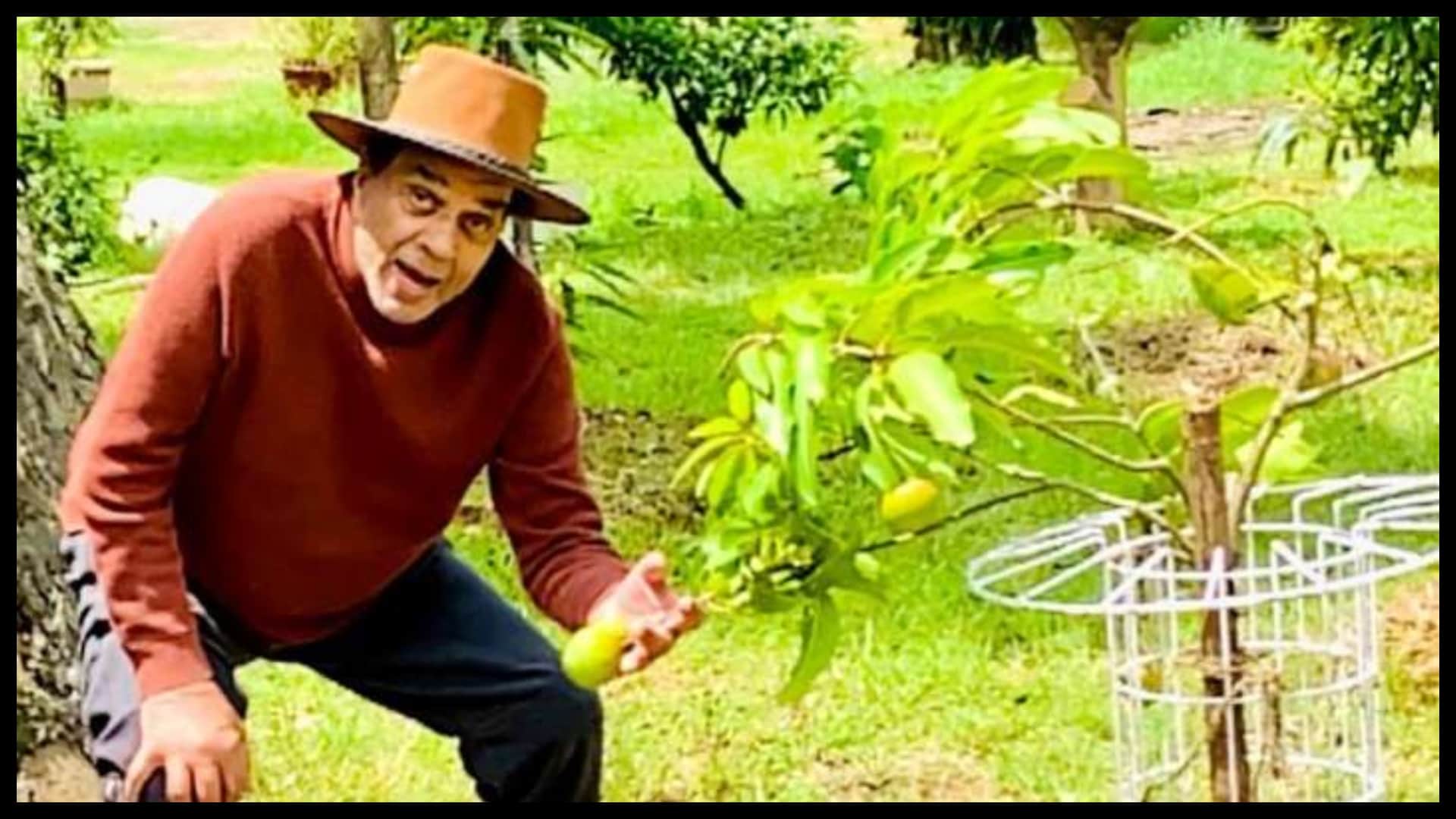 know about Those Bollywood Stars who Have Interest in Gardening Along with Acting like Kangana Ranaut Shipa Shetty R Madhavan