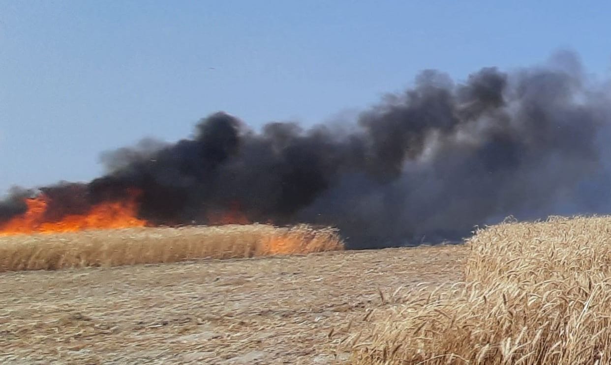Kanpur dehat : 100 bighas of crop ashes due to fire in Malkhanpur and Chitipur, 50 bighas of stubble burnt in Gahilu village