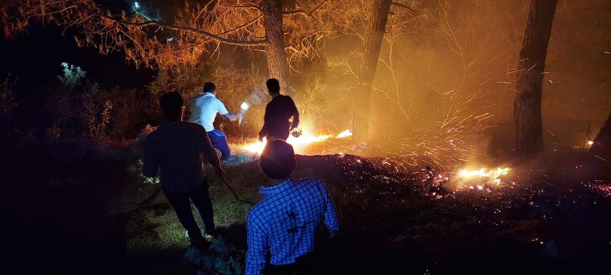 If someone will fire jungle than wil have to go jail.