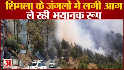 watch video forest fire in shimla himachal pradesh