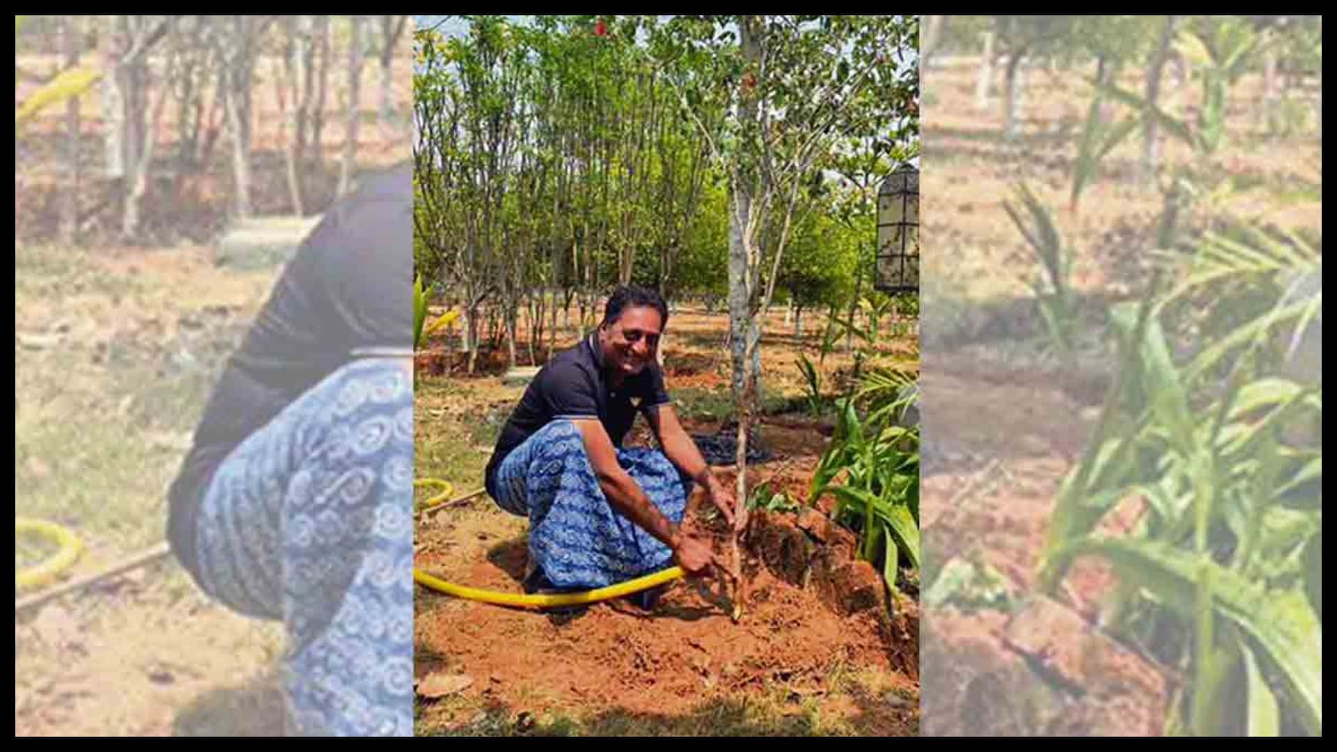 know about Those Bollywood Stars who Have Interest in Gardening Along with Acting like Kangana Ranaut Shipa Shetty R Madhavan