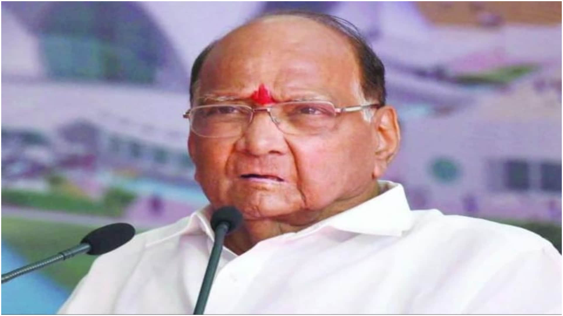 The Kashmir Files Vivek Agnihotri calls NCP Leader Sharad Pawar most corrupt politician in Indian Politics