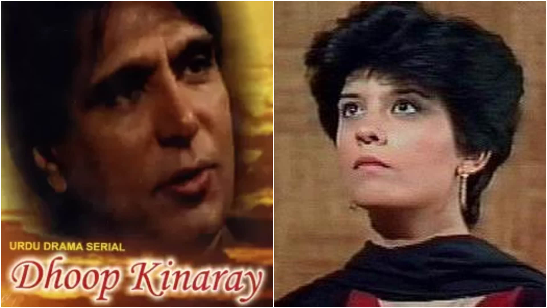 These are Pakistani Best Tv Serials India’s Film Chal Mere Bhai is Inspired From One of them