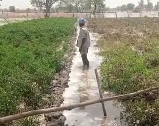 Kanpur dehat : 100 bighas of crop submerged due to Italy minor cutting, officials accused of ignoring even after information