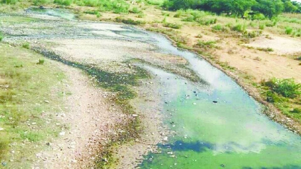 45 km long Utangan river will be revived in Agra