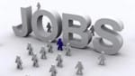 Employment Opportunities