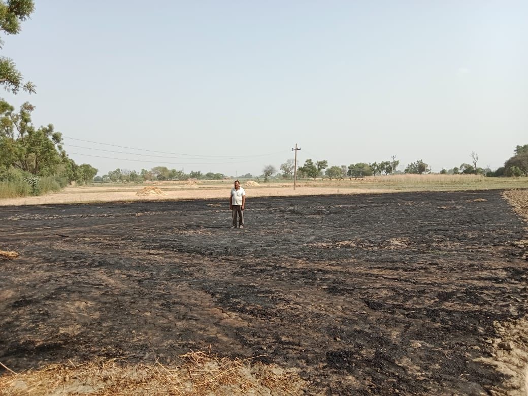 Fire brigade did not reach, seven bighas of wheat crop burnt
