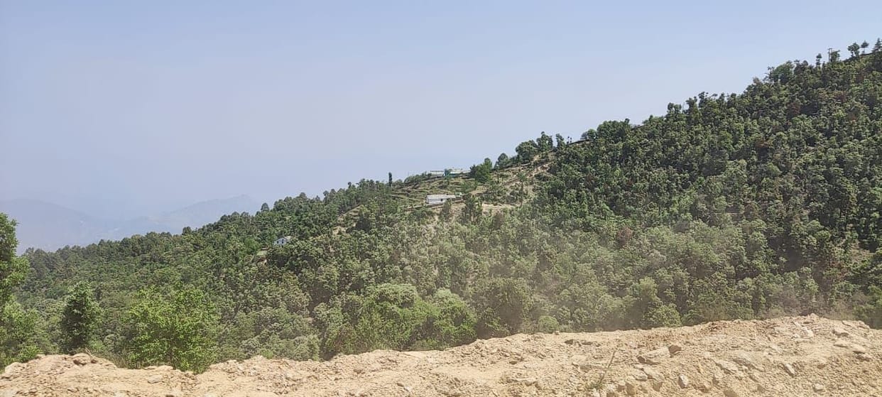 Villagers contribute to save jungle .