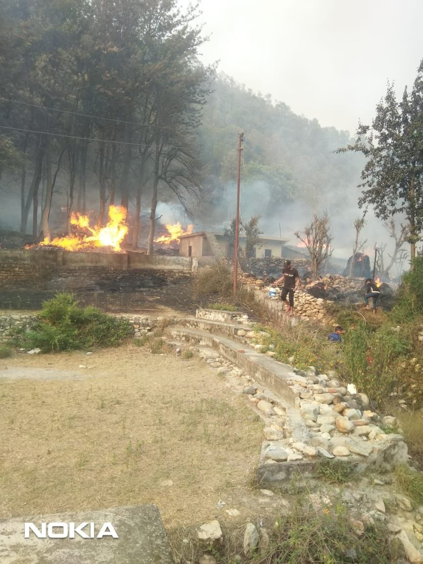 Forest Fire In Wheat Crop