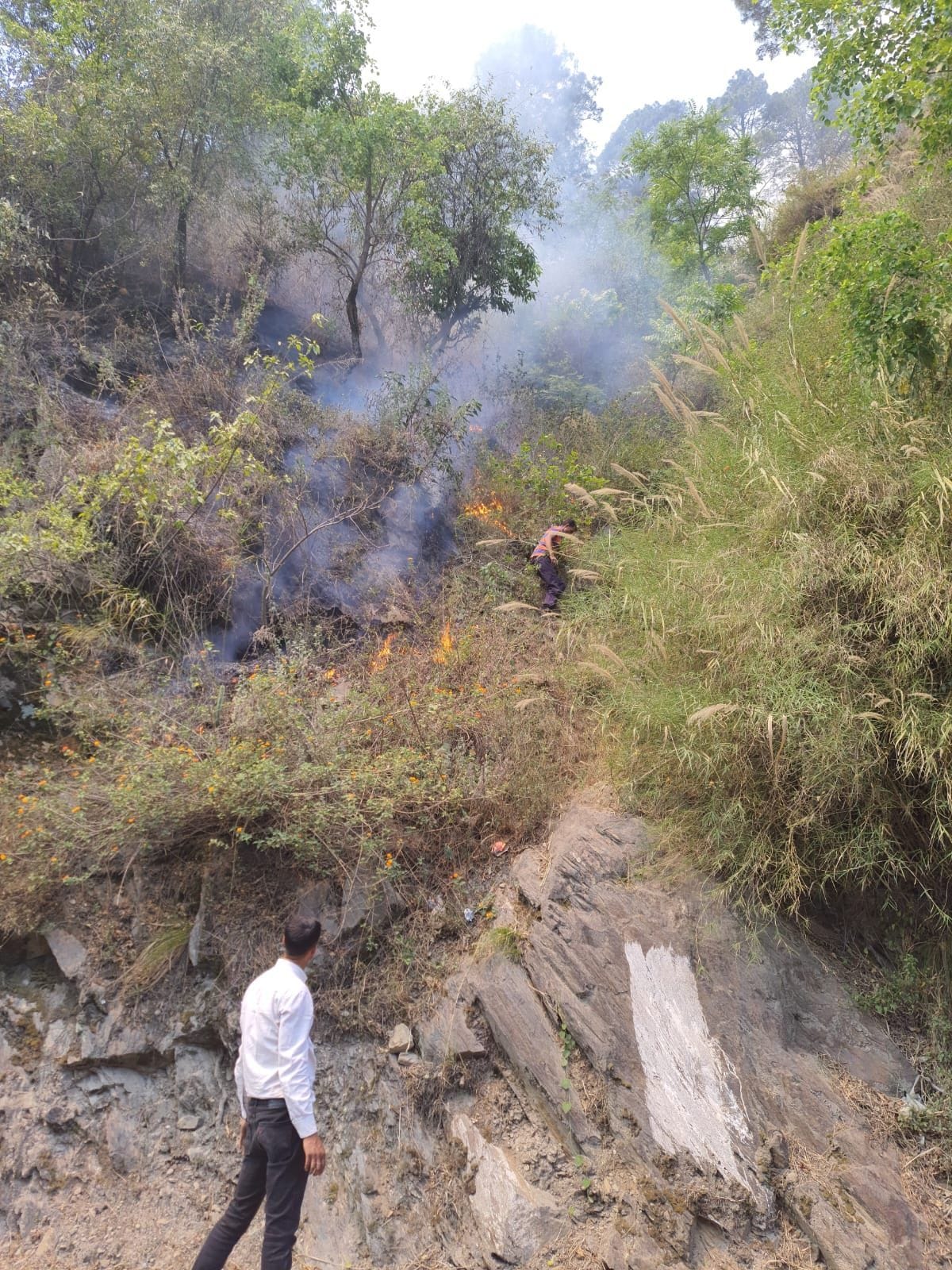 Forests blazed near Bannu Phat and Suhi Mata Temple